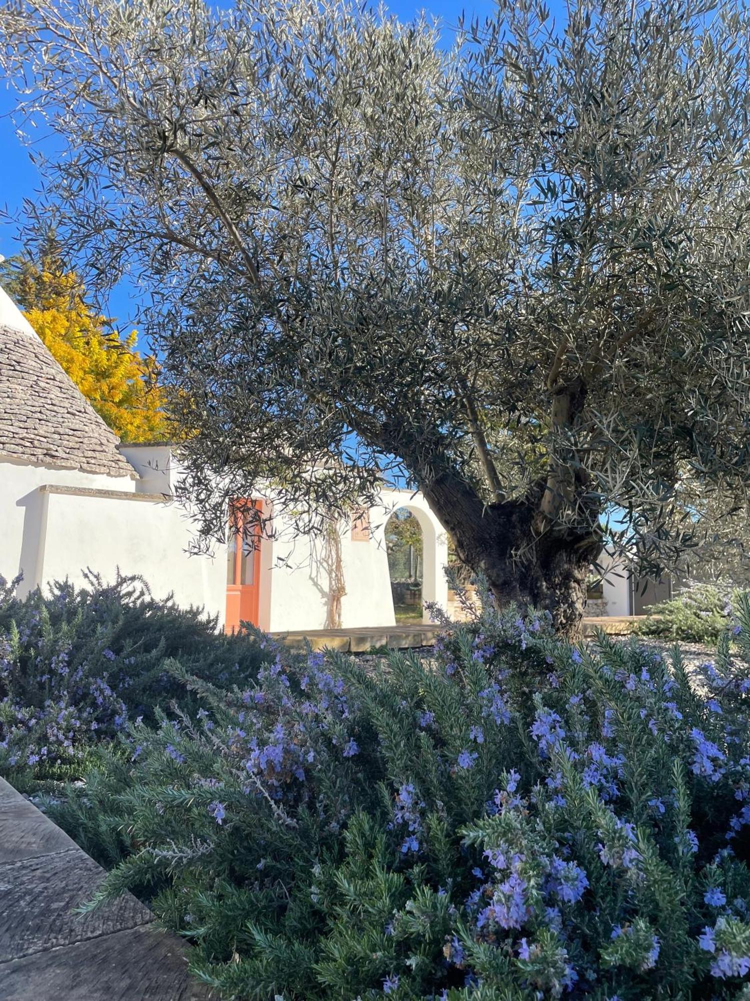 Trullo Panna Fragola - Exclusive Four Bedroom Villa & Private Pool Martina Franca Bagian luar foto